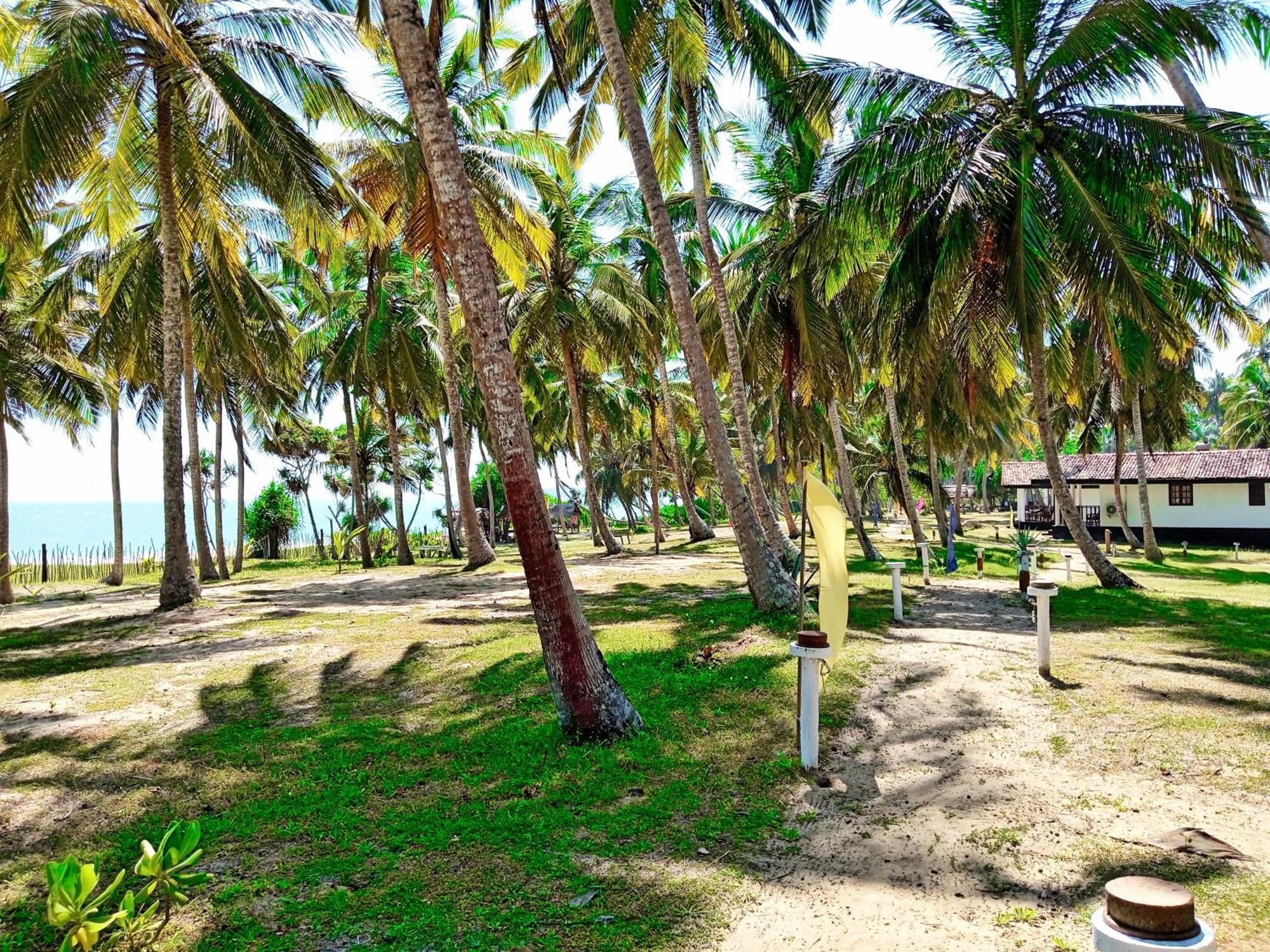 Helios Beach Resort Тангалле Екстер'єр фото